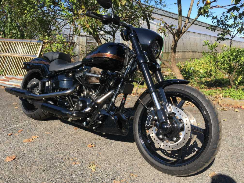 Harley Davidson FXSE1800CVO 2016